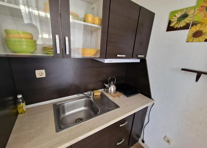Apartament Amara *